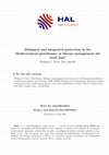 PDF) Interaction between rhizoplane bacteria and a phytopathogenic