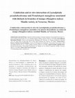 Research paper thumbnail of Coinfection and in vitro interaction of Lasiodiplodia pseudotheobromae and Pestalotiopsis mangiferae associated with dieback in branches of mango (Mangifera indica) Manila variety, in Veracruz, Mexico