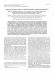 Research paper thumbnail of Amyloid Histology Stain for Rapid Bacterial Endospore Imaging