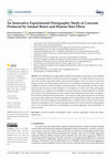 Research paper thumbnail of An Innovative Experimental Petrographic Study of Concrete Produced by Animal Bones and Human Hair Fibers