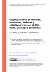 Research paper thumbnail of Organizaciones de mujeres, feministas, lésbicas y colectivos trans en el Alto Valle. Un mapeo preliminar
