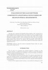 Research paper thumbnail of Evaluation of the Clean Softwood Components' Longitudinal Young's Moduli by Means of Overall Measurements