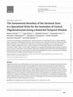 Research paper thumbnail of The Dorsoventral Boundary of the Germinal Zone is a Specialized Niche for the Generation of Cortical Oligodendrocytes during a Restricted Temporal Window