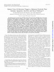 Research paper thumbnail of Simian Virus 40 Infection Triggers a Balanced Network That Includes Apoptotic, Survival, and Stress Pathways