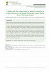 Research paper thumbnail of Caipora and the conservation of natural resources in tropical forests in the South Recôncavo region, Bahia State, Northeast Brazil