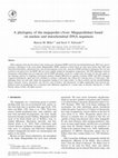 Research paper thumbnail of A phylogeny of the megapodes (Aves: Megapodiidae) based on nuclear and mitochondrial DNA sequences