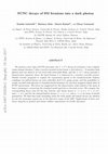 Research paper thumbnail of FCNC decays of standard model fermions into a dark photon