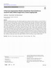 Research paper thumbnail of A Pixel-wise Segmentation Model to Identify Bur Chervil (Anthriscus caucalis M. Bieb.) Within Images from a Cereal Cropping Field