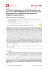 Research paper thumbnail of The Relative Importance of the Small Intestine and the Liver in Phase II Metabolic Transformations and Elimination of p-Nitrophenol Administered in Different Doses in the Rat