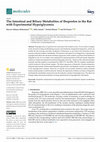 Research paper thumbnail of The Intestinal and Biliary Metabolites of Ibuprofen in the Rat with Experimental Hyperglycemia