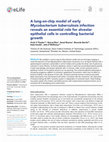 Research paper thumbnail of A lung-on-chip model of early Mycobacterium tuberculosis infection reveals an essential role for alveolar epithelial cells in controlling bacterial growth