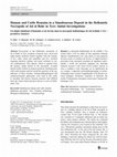Research paper thumbnail of Elias N, Hourani Y., Arbogast R.-M., Sachau-Carcel G., Badawi A., Castex D., 2017. The case of human and cattle remains in a simultaneous deposit in the Hellenistic necropolis of Jal al Bahr in Tyre: initial investigations. Bulletins et mémoire de la société d’anthropologie de Paris 29 : 19-32.