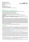 Research paper thumbnail of Efficiency of biofertilizers when growing corn for grain
