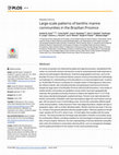 Research paper thumbnail of Large-scale patterns of benthic marine communities in the Brazilian Province