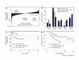 Research paper thumbnail of Supplementary Data from Glycoprotein Nonmetastatic B Is an Independent Prognostic Indicator of Recurrence and a Novel Therapeutic Target in Breast Cancer