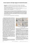Research paper thumbnail of Forensic Expertise of the Paper Support of Counterfeit Documents