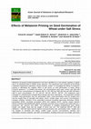 Research paper thumbnail of Effects of Melatonin Priming on Seed Germination of Wheat under Salt Stress