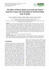 Research paper thumbnail of The Effect of Plastic Mulch on Growth and Yield of Rain-fed Cowpea and Watermelon in North Kordofan State of Sudan