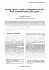 Research paper thumbnail of Arnoldussen, S. & H. Steegstra, 2023, Making a point: A study of later prehistoric pins from the Netherlands (2200-250 BCE), Paleohistoria 63/64 (2022/2023), 217-301.
