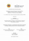 Research paper thumbnail of Nominalismi irriducibili: un reinquadramento delle dottrine semantiche di Ockham e Buridano alla luce dei loro orientamenti filosofici (Index)