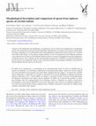 Research paper thumbnail of Morphological description and comparison of sperm from eighteen species of cricetid rodents