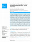 Research paper thumbnail of Exceptional soft tissues preservation in a mummified frog-eating Eocene salamander
