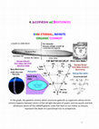 Research paper thumbnail of þ4. SHM Universe. Astroƒy§ics  ◊§±iMetric galatoms