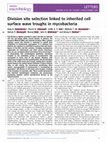 Research paper thumbnail of Division site selection linked to inherited cell surface wave troughs in mycobacteria