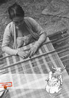 Research paper thumbnail of Wasserbüffel in Sicht - Rekonstruktion des Hüftwebstuhls der Minangkabau (Entwurf 0.4)