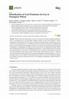 Research paper thumbnail of Identification of Leaf Promoters for Use in Transgenic Wheat