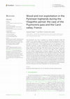 Research paper thumbnail of Wood and iron exploitation in the Pyrenean highlands during the Visigothic period: the case of the Puymorens pass and the Carol valley