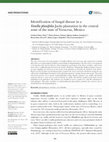 Research paper thumbnail of Identification of fungal disease in Vainilla planofolia Jacks plants in the central zone of the state of Veracruz
