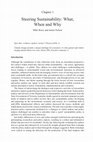Research paper thumbnail of Steering Sustainability: what, when and why