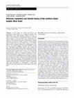 Research paper thumbnail of Holocene vegetation and climate history of the northern Golan heights (Near East)