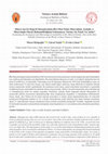 Research paper thumbnail of Examining the Geological and Mineralogical Availability of the Mineral Painite, One of the Most Valuable Gemstones in the World. Is there Painite in Türkiye?