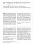 Research paper thumbnail of Cooh-Terminal Truncations Promote Proteasome-Dependent Degradation of Mature Cystic Fibrosis Transmembrane Conductance Regulator from Post-Golgi Compartments