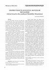 Research paper thumbnail of DESPRE PAINE ÎN SUD ESTUL MUNTILOR METALIFERI