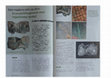 Research paper thumbnail of Arnoldussen, S., L.L. Bladt, G. J. M. van Oortmerssen & R. Groot, 2025, Een nadere blik op een bronsblikfragment met ingeklemd textiel, Detector magazine 202, 6-9.