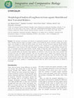 Research paper thumbnail of Morphological Analysis of Long Bones in Semi-aquatic Mustelids and their Terrestrial Relatives