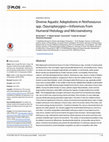 Research paper thumbnail of Diverse Aquatic Adaptations in Nothosaurus spp. (Sauropterygia)—Inferences from Humeral Histology and Microanatomy