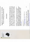 Research paper thumbnail of M. Rebecchi, « Ragghianti’s Cinématisme. The Critofilms Between Painting and Architecture », in "Italian Experimental Cinema and Moving-Image Art: New Paths, New Perspectives", Rossella Catanese, Jennifer Malvezzi, (dir.), London, Palgrave MacMillian, 257-266.