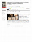 Research paper thumbnail of A spectacle of the Roman amphitheatre at Viminacium: multiproxy analysis of a brown bear skull