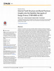Research paper thumbnail of Internal Tooth Structure and Burial Practices: Insights into the Neolithic Necropolis of Gurgy (France, 5100-4000 cal. BC)