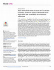 Research paper thumbnail of Mass animal sacrifice at casas del Turuñuelo (Guareña, Spain): A unique Tartessian (Iron Age) site in the southwest of the Iberian Peninsula