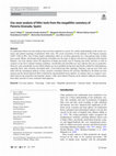 Research paper thumbnail of Use-wear analysis of lithic tools from the megalithic cemetery of Panoría (Granada, Spain