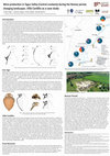 Research paper thumbnail of Wine produc on in Tagus Valley (Central Lusitania) during the Roman period, changing landscapes. Villa Cardílio as a case study