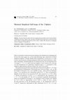 Research paper thumbnail of Minimal Simplicial Self-maps of the 2-Sphere
