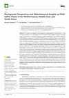Research paper thumbnail of ALRHMOUN ET AL. Phylogenetic Perspectives and Ethnobotanical Insights on Wild Edible Plants of the Mediterranean, Middle East, and North Africa (2025)