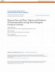 Research paper thumbnail of Between Here and There: Patterns and Predictors of Transnationalism among Three Immigrant Groups in Germany