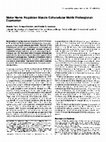 Research paper thumbnail of Motor nerve regulates muscle extracellular matrix proteoglycan expression